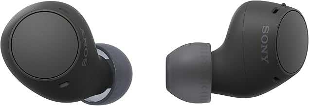 WF-C510 Truly Wireless in-Ear Bluetooth Earbud Headphones with up to 22-Hour Battery, Multipoint-Connection, Mic and IPX4 Water Resistance, Black- New