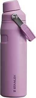 IceFlow Fast Flow Water Bottle | Angled Spout Lid | Lightweight & Leakproof for Travel & Sports | Insulated Stainless Steel | BPA-Free